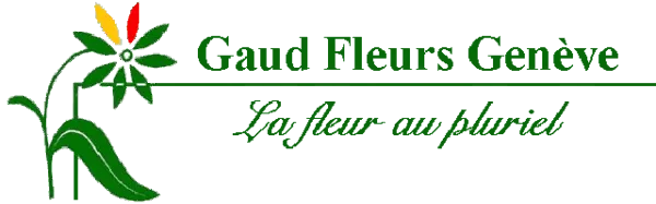 Gaud Fleurs — La fleur au pluriel